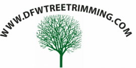 Tree Service McKinney, Texas